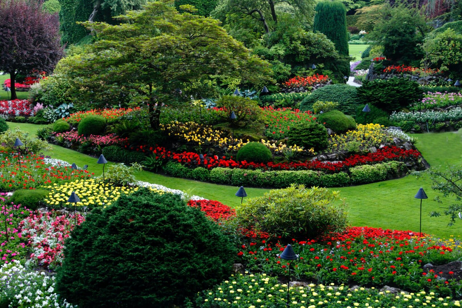 A garden with many different flowers and trees.